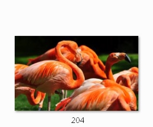 Холст с красками 22х30 см по номерам. СТАЯ ФЛАМИНГО (Арт. HS201)