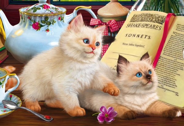Алмаз.моз.(блест.)20х30, без подр.,на карт.,с част.зап.(17 цв.) КОТИКИ