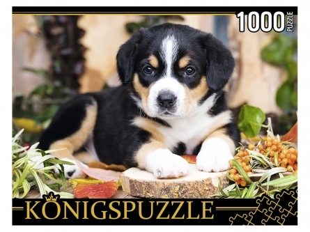Konigspuzzle. ПАЗЛЫ 1000 элементов. ЩЕНОК ШВЕЙЦАРСКОГО ЗЕННЕНХУНДА