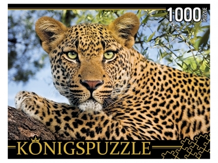 Konigspuzzle. ПАЗЛЫ 1000 элементов. ГИK1000-0648 ПОРТРЕТ ЛЕОПАРДА