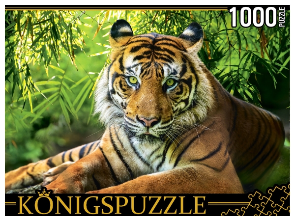 Konigspuzzle. ПАЗЛЫ 1000 элементов. ГИK1000-0649 БЛАГОРОДНЫЙ ТИГР