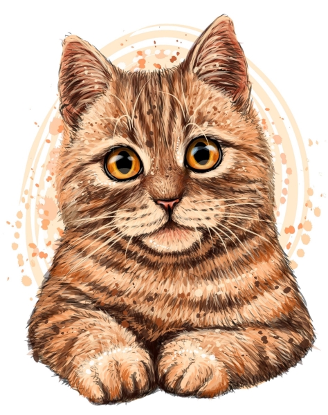 Холст с красками 22х30 по номер. в кор. (15цв.) МИЛЫЙ КОТИК