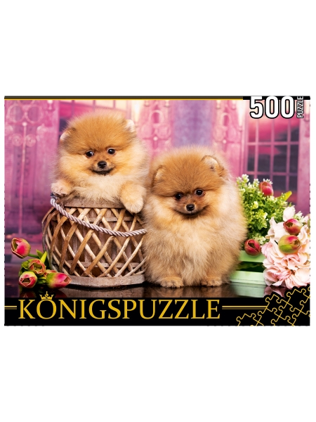 Konigspuzzle. ПАЗЛЫ 500 элементов. ШТK500-3578 ДВА ПОМЕРАНСКИХ ШПИЦА
