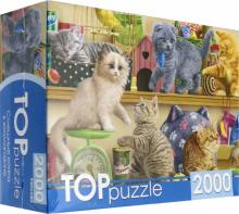 TOPpuzzle. ПАЗЛЫ 2000 элементов. Cмешные котята в зоомагазине