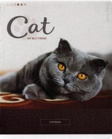 Тетрадь 48л,кл. "Cute pets" ассорти Т48кС_18806