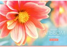 Альбом для рис.24л "Tenderness" ассортим А24_26202
