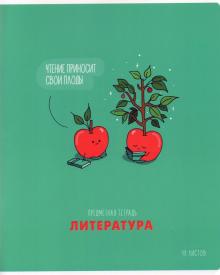 Тетрадь пр.48л."Мал.детали" Литерат. Тп48ТЛл_34963