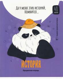 Тетрадь пр.48л."Clever Panda" ИсторияТп48ВЛк_34975