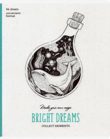 Тетрадь 96л,кл. "Bright dreams" асс Т96кМЛВЛ_36414