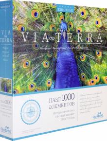 Via Terra.Пазл-1000 Пестрый павлин (05236)