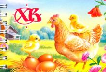 Блокнот  ХВ/курица с цыплятами