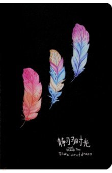 Блокнот 20л FEATHER черн.стр. (M-3829)