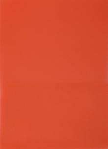 Папка-уголок 2 внутр.карм. A4 плас. крас.,E570RED