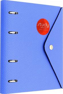 Тетрадь 120л,кольц.мех,Cassy,синий,N1276