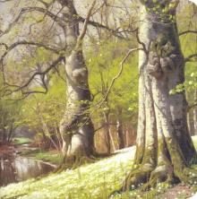 Блокнот 40л,17*17,нелин,Monsted,N1612