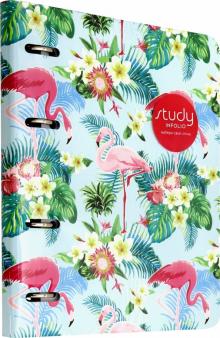 Тетрадь 120л,кольц.мех,Flamingo,голубой,N1694