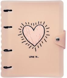 Тетрадь 120л,кольц.мех,Love is,N1712