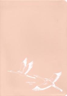 Ежедневник недат.96л,А5,W.роз-беж,инт,AZ1111/pink
