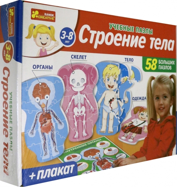 Настольная игра Строение тела,13120142