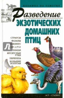 Разведение экзотических домашних птиц