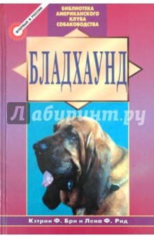 Бладхаунд