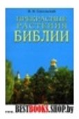 Прекрасные растения Библии