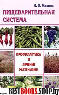 Пищеварительная система - профилактика и лечение растениями