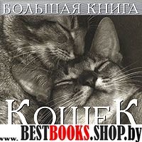 Большая книга кошек