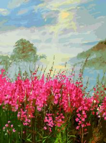 Живопись на холсте 30*40 Иван-чай,388-AS