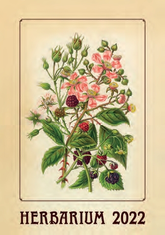 Календ(Контэнт-2022) Herbarium (Гербарий)
