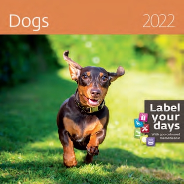 КалендКО(Контэнт-2022) Dogs (Собаки)