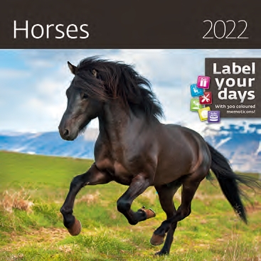 КалендКО(Контэнт-2022) Horses (Лошади)
