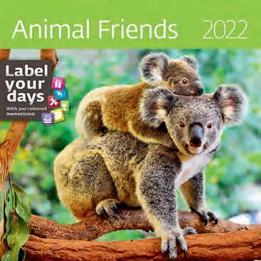 КалендКО(Контэнт-2022) Animal Friends