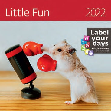 КалендКО(Контэнт-2022) Little Fun (Маленькое счастье)