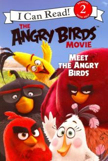Angry Birds Movie: Meet the Angry Birds (Level 2)