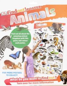 DKfindout! Animals Poster