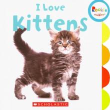 I Love Kittens (board book)