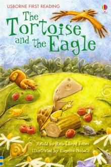 Tortoise and the Eagle (HB)