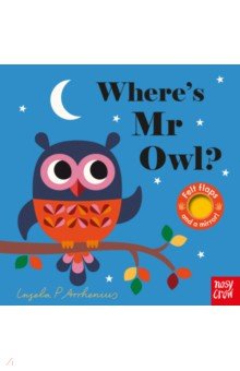 Wheres Mr Owl?  (board bk)'