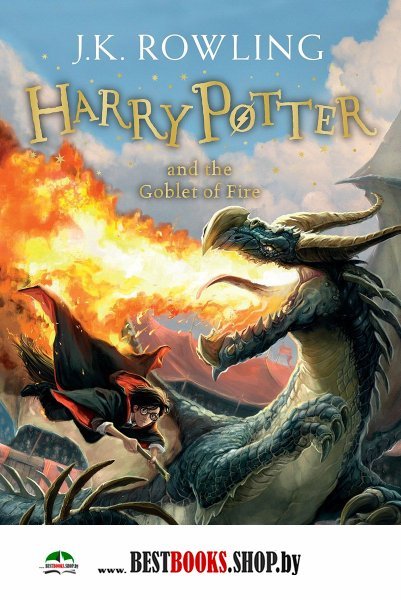 Harry Potter 4: Goblet of Fire  (Ned)
