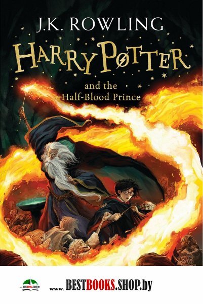 Harry Potter 6: Half-Blood Prince  (Ned)