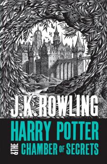 Harry Potter 2: Chamber of Secrets (new adult)