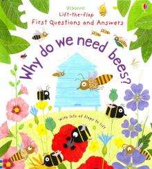 Questions & Answers: Why Do We Need Bees?