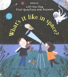 Questions & Answers: Whats It Like in Space?'