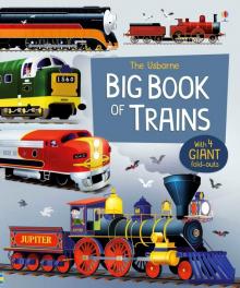 Big Book of Trains  (HB)