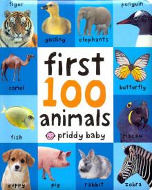 First 100 Animals (soft to touch board book)