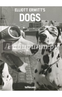 Elliott Erwitts Dogs. Эллиотт Эрвитт: собаки'