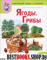 Мир растений и грибов: Ягоды. Грибы [Дид. карт.]