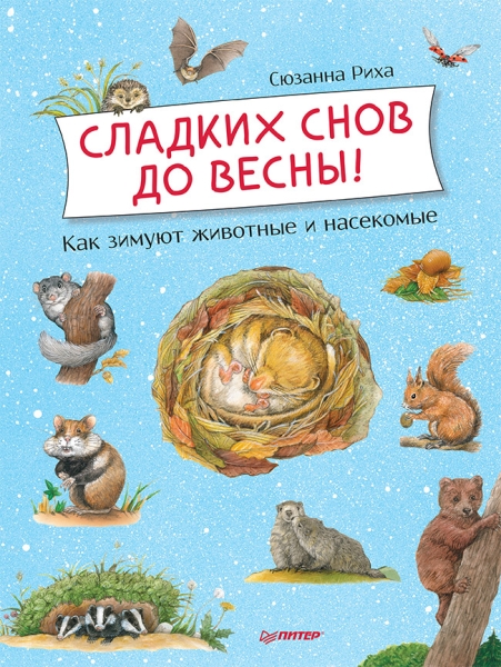 Сладких снов до весны!Как зимуют животные и насекомые