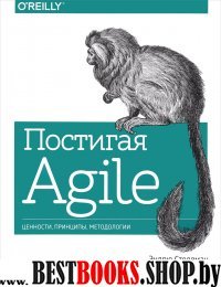 Постигая Agile. Ценности, принципы, методологии